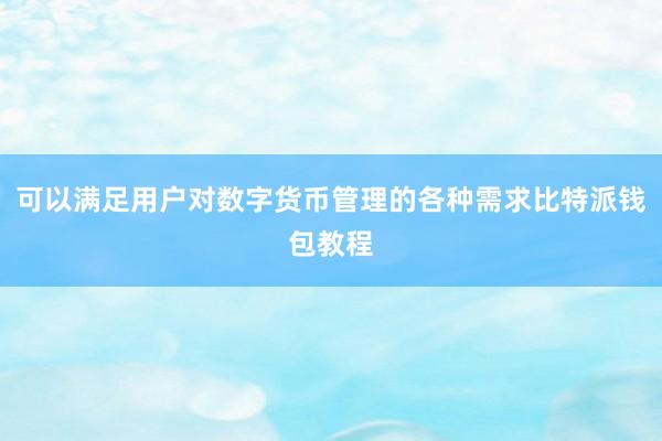 可以满足用户对数字货币管理的各种需求比特派钱包教程