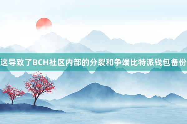 这导致了BCH社区内部的分裂和争端比特派钱包备份