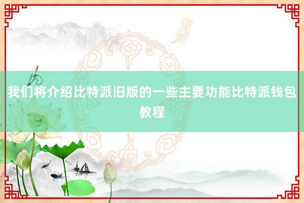 我们将介绍比特派旧版的一些主要功能比特派钱包教程