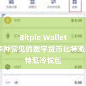 Bitpie Wallet 支持多种常见的数字货币比特派冷钱包