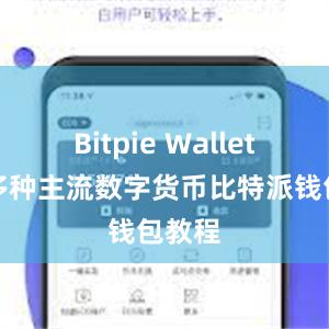 Bitpie Wallet支持多种主流数字货币比特派钱包教程