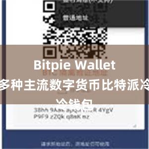 Bitpie Wallet支持多种主流数字货币比特派冷钱包